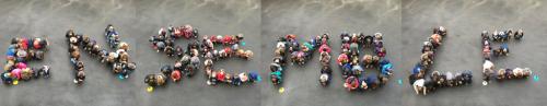 La journée de solidarité - Flash Mob